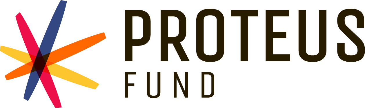 Vice President for Programs